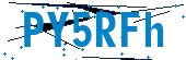recaptcha