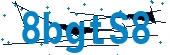 recaptcha